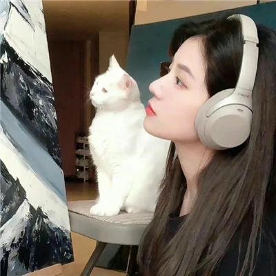 我的海獭先生